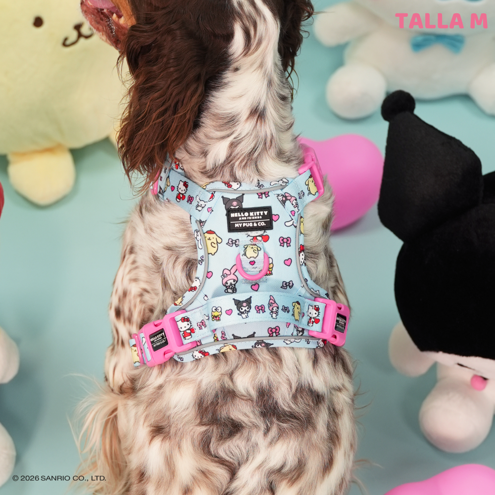 Trail harness by Hello Kitty and Friends