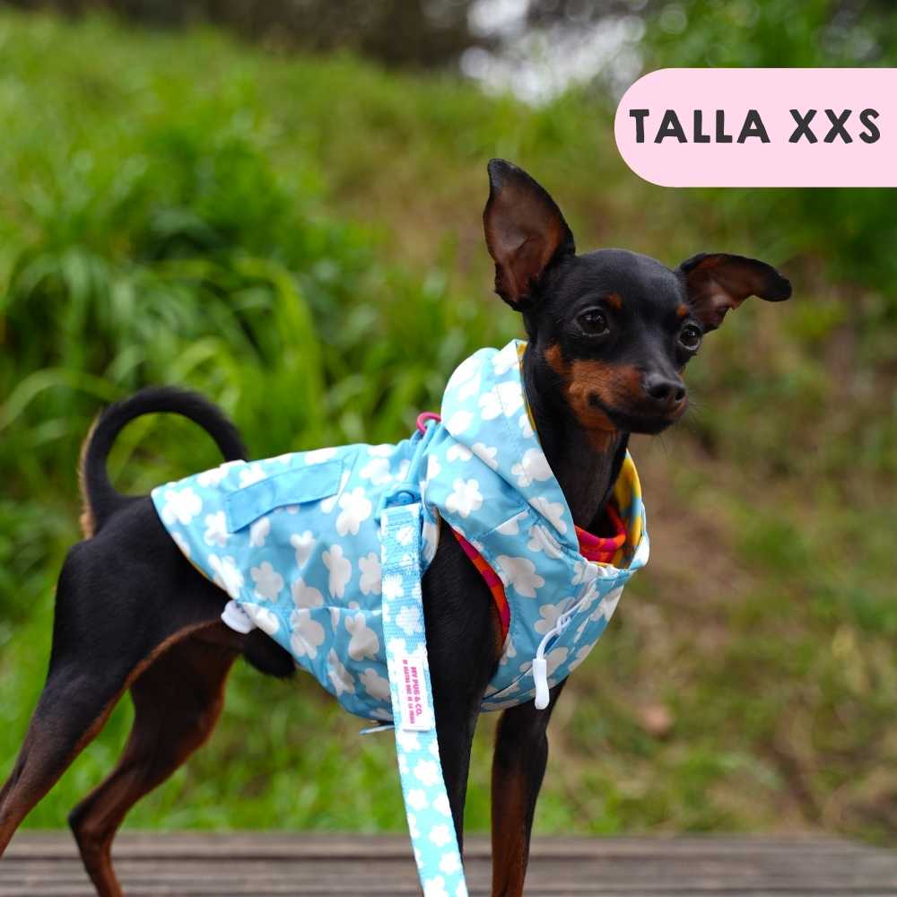 Clouds and Stars Raincoat by Agatha Ruiz de la Prada