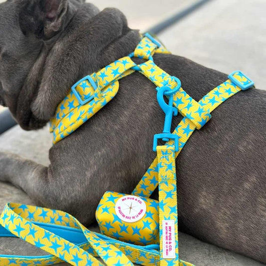<tc>Stars Leash My Pug & Co by Agatha Ruiz de la Prada</tc>
