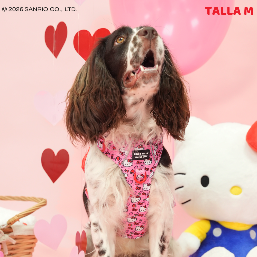 Pack Arnés Todoterreno Hello Kitty Pink