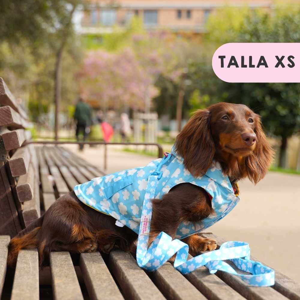 Clouds and Stars Raincoat by Agatha Ruiz de la Prada
