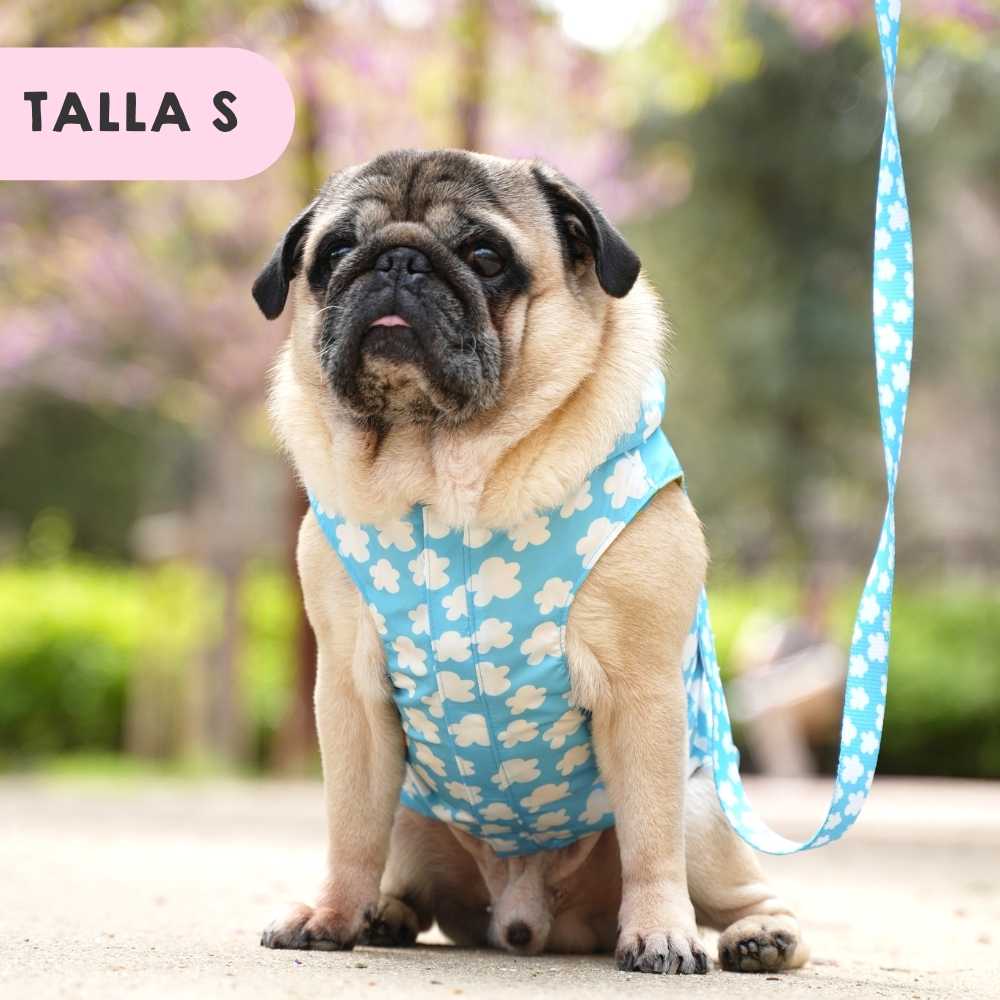 Clouds and Stars Raincoat by Agatha Ruiz de la Prada