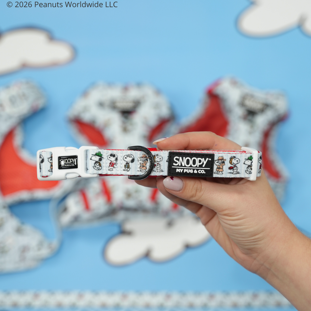 Verstellbares Hundehalsband Many Faces von Snoopy™️
