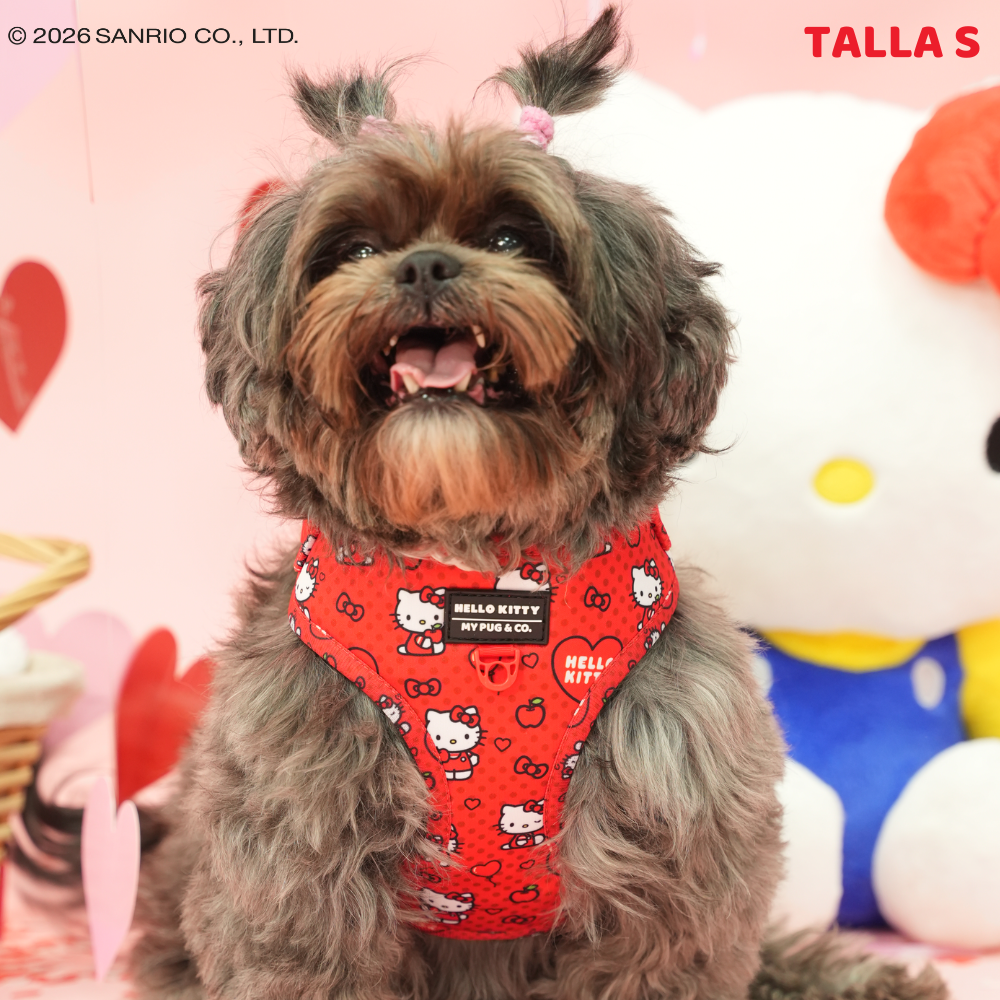 Verstellbares Hundegeschirr Hello Kitty (Rot)