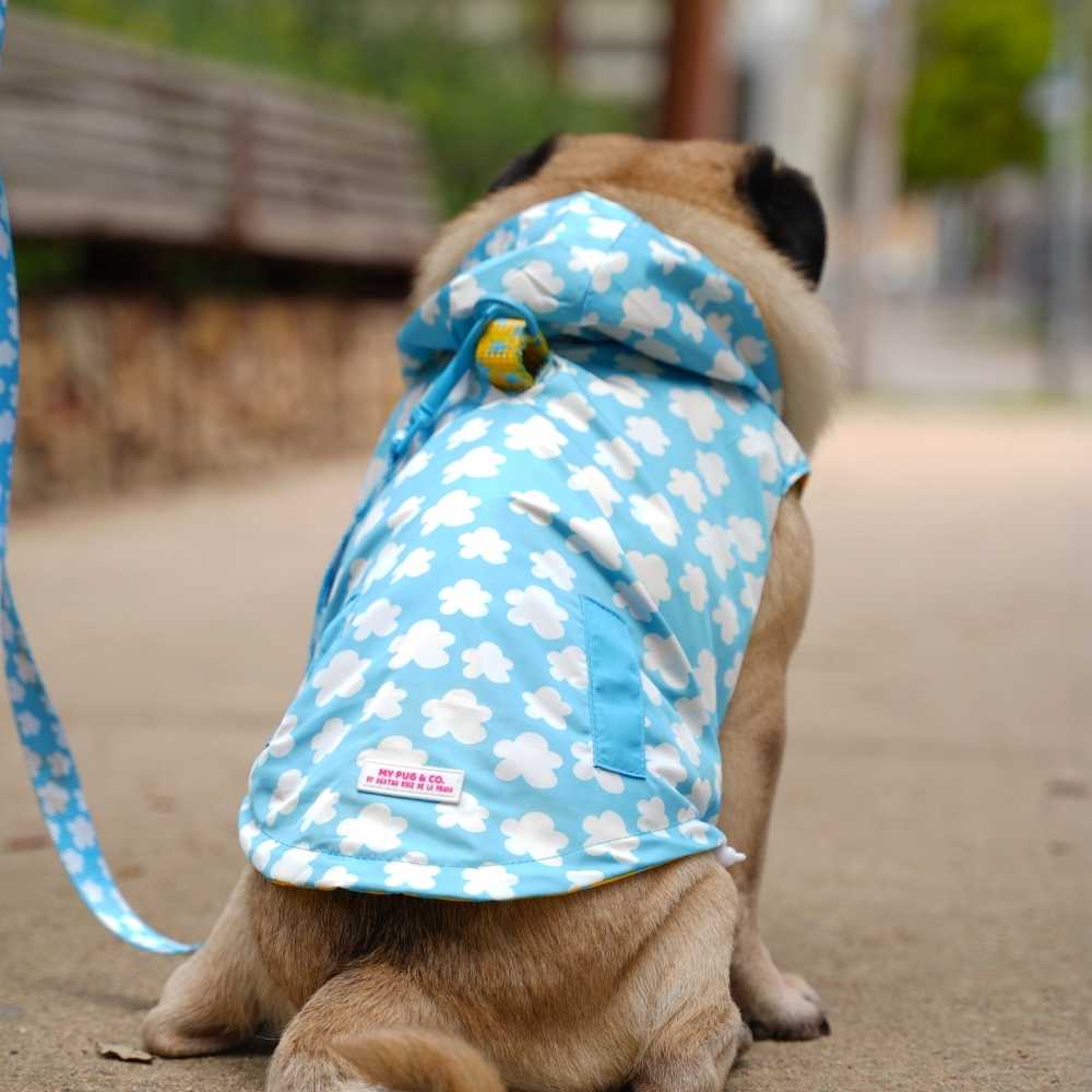Clouds and Stars Raincoat by Agatha Ruiz de la Prada