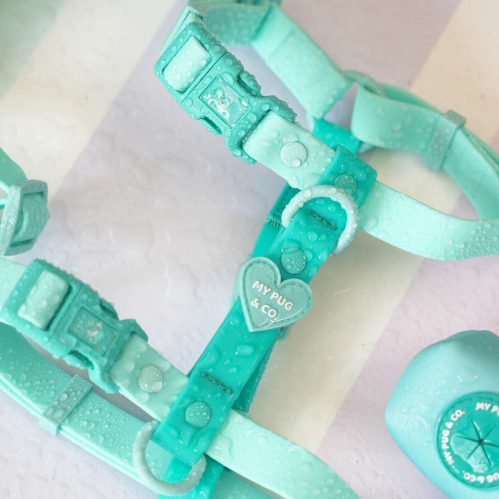 Adjustable Waterproof Harness Turquoise - Green