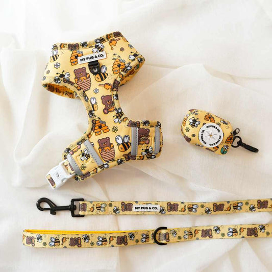 Pack Arnés Ajustable Honey