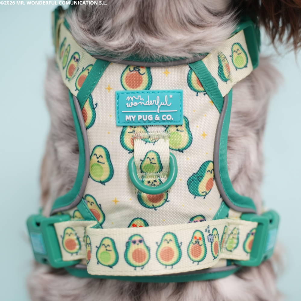 Avocado By Mr. Wonderful Trail Harness