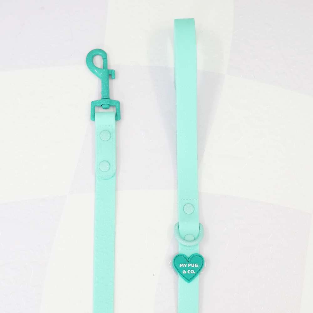 Wasserdichtes türkisfarbenes Armband - Grün