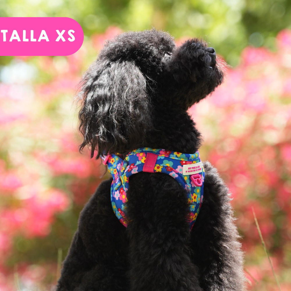 Step-in Hundegeschirr Farbenfrohe Blumen von Agatha Ruiz de la Prada