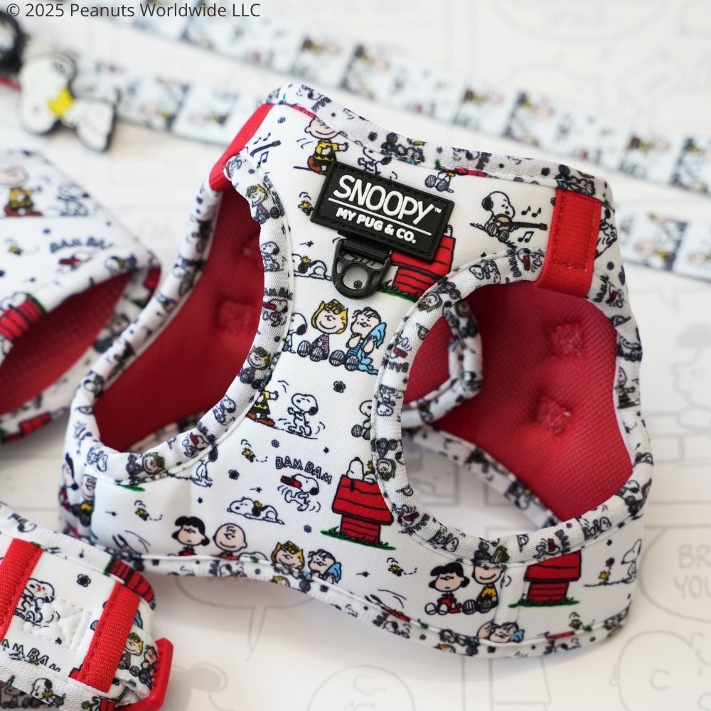 Pack Arnés Body Snoopy™️ Classic
