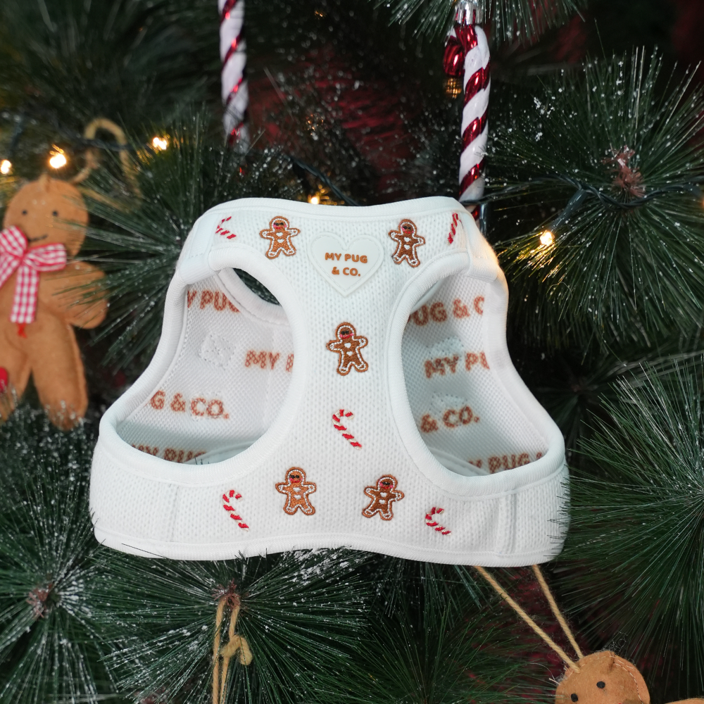 Arnés Body Gingerbread