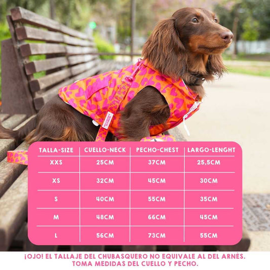 Hearts and Flowers Raincoat by Agatha Ruiz de la Prada