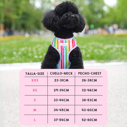 Rainbow Adjustable Harness by Agatha Ruiz de la Prada