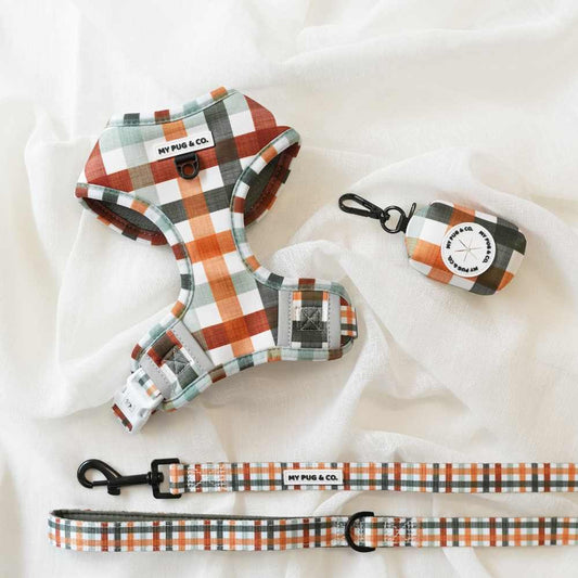 Pack Arnés Ajustable Autumn Picnic