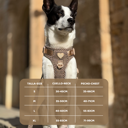 Arnés Todoterreno Pata de Gallo