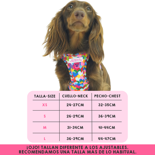 Pop Hearts Body Harness by Agatha Ruiz de la Prada