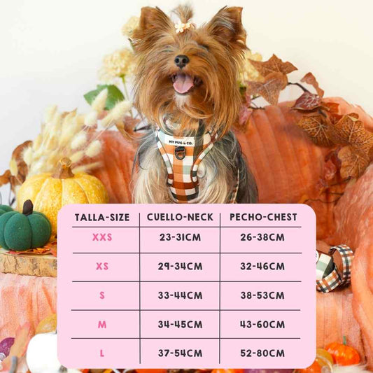 Autumn Picnic Adjustable Harness