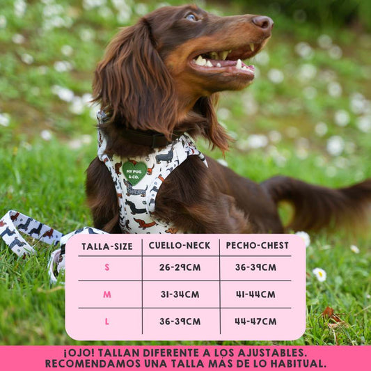 Dachshund Body Harness