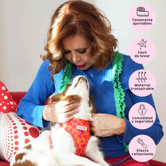 Hearts Adjustable Harness My Pug & Co by Agatha Ruiz de la Prada