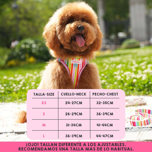 Rainbow Body Harness by Agatha Ruiz de la Prada