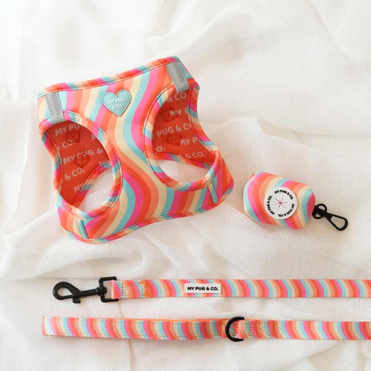 Pack Arnés Body Lollipop