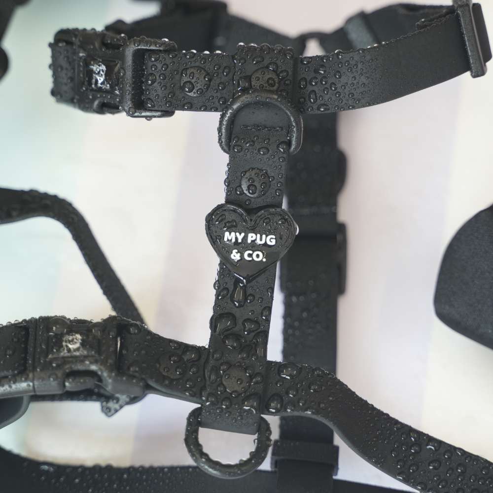Adjustable Waterproof Harness Black