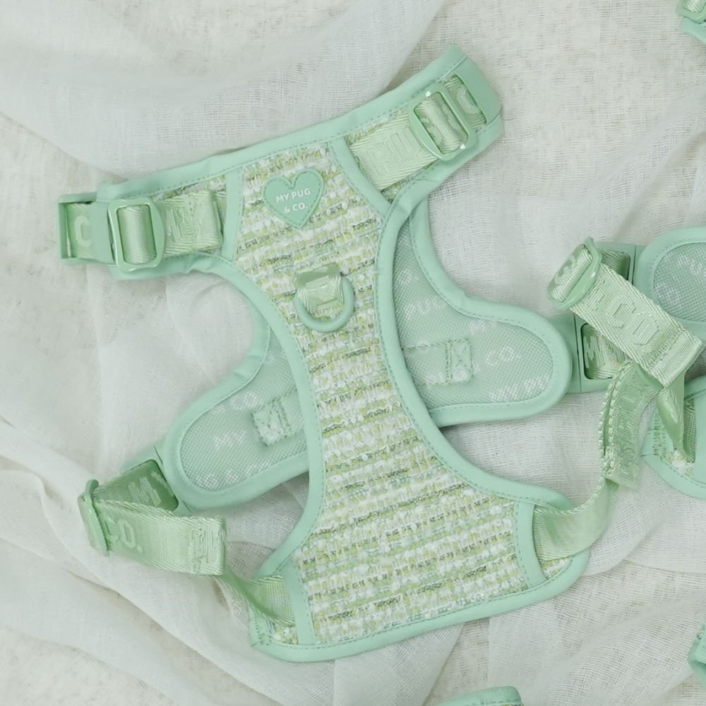 Mint Chic Trail Harness