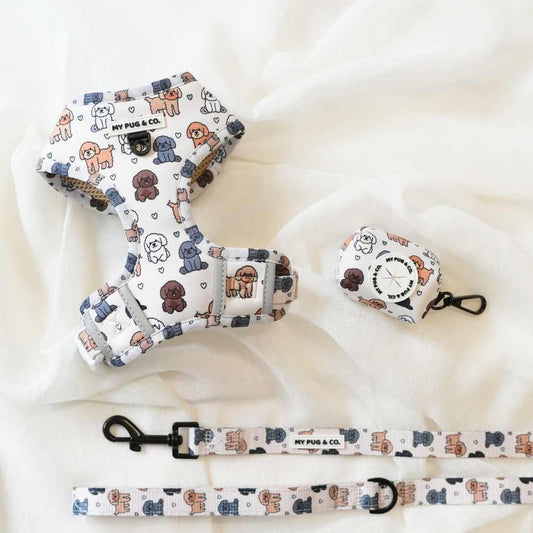 Pack Arnés Ajustable Poodle