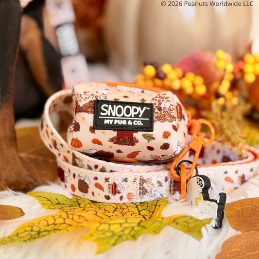 Correa Snoopy™️ Autumn