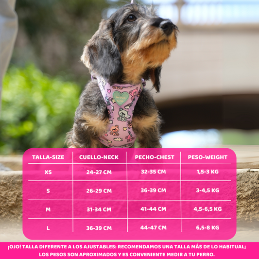 Arnés Body Teddy Bears