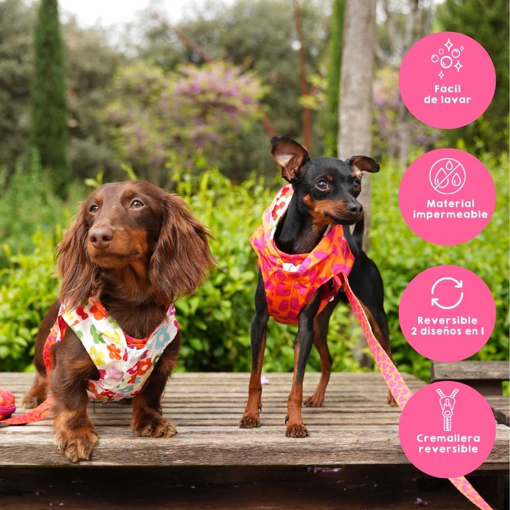 Hearts and Flowers Raincoat by Agatha Ruiz de la Prada