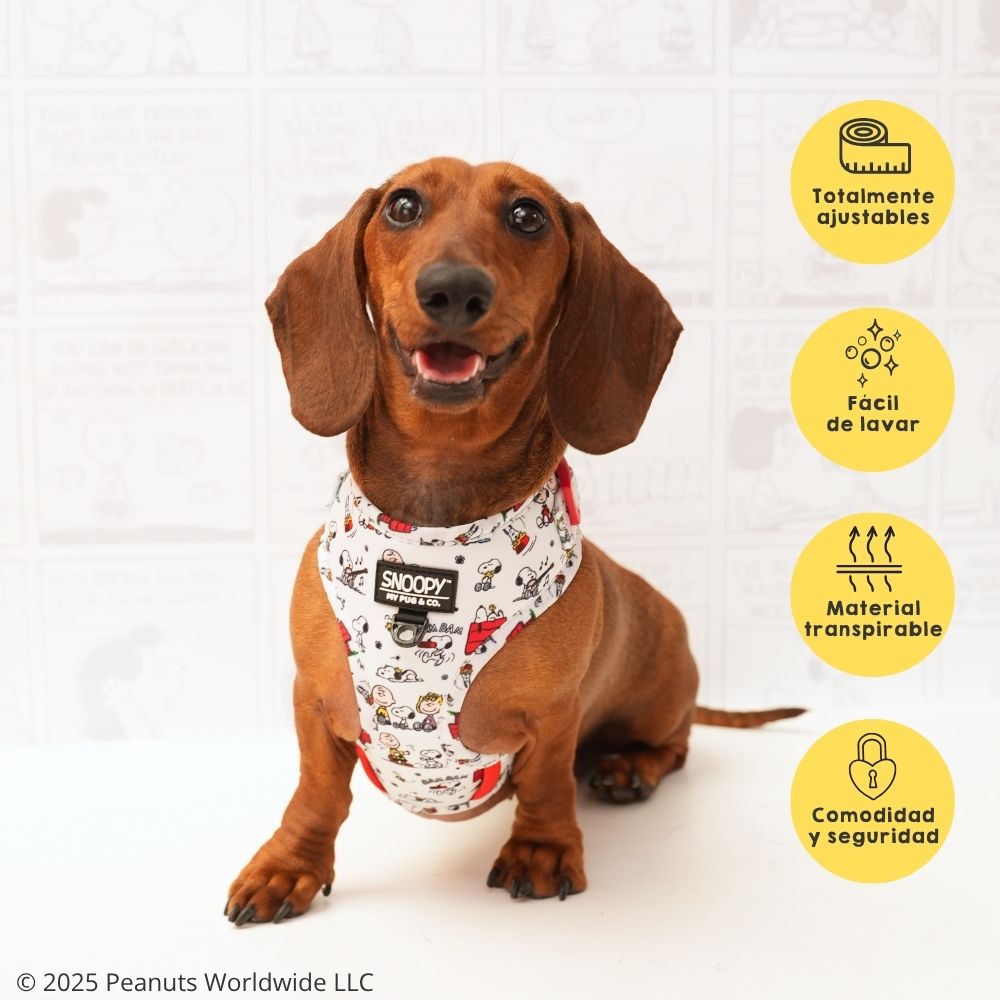 Pack Arnés Ajustable Snoopy™️ Classic