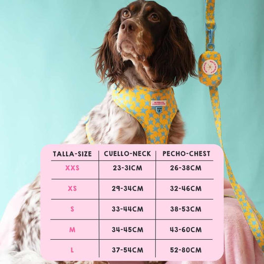 Stars Adjustable Harness My Pug & Co by Agatha Ruiz de la Prada