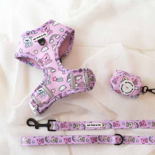 Pack Arnés Ajustable Teddy Bears