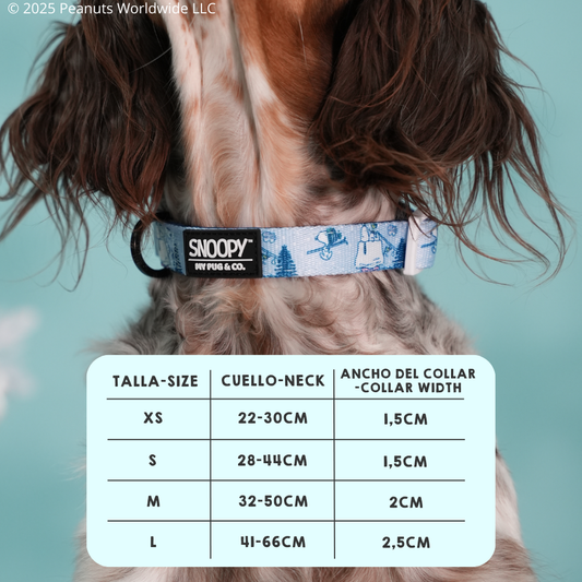 Collar Snoopy™️ Snow