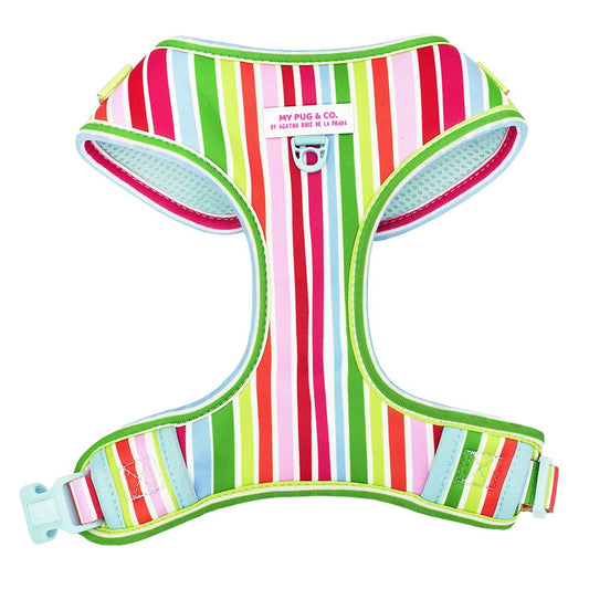 Rainbow Adjustable Harness by Agatha Ruiz de la Prada
