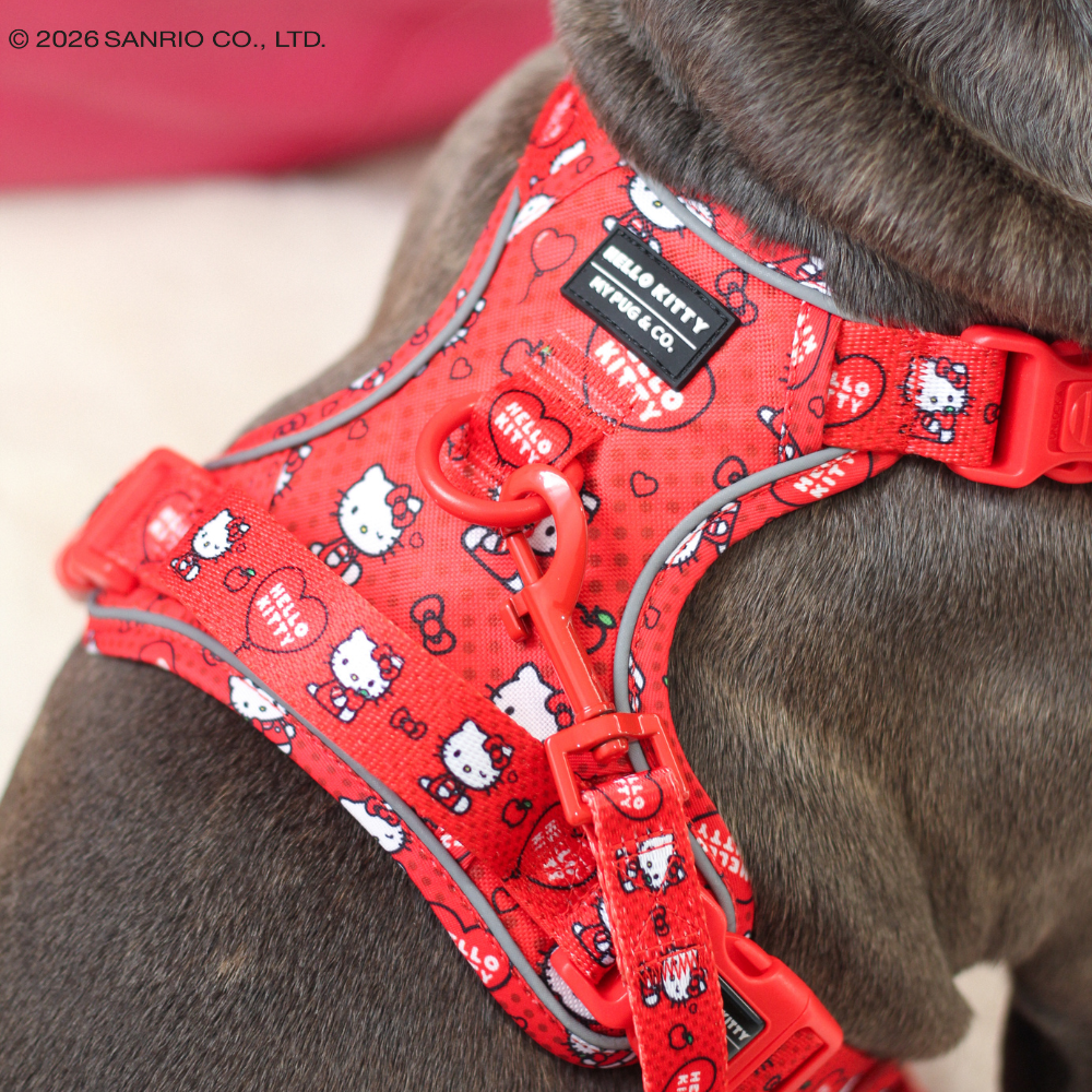 Trail-Hundegeschirr von Hello Kitty (Rot)