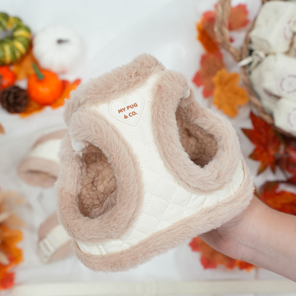 Arnés Body Teddy Luxe