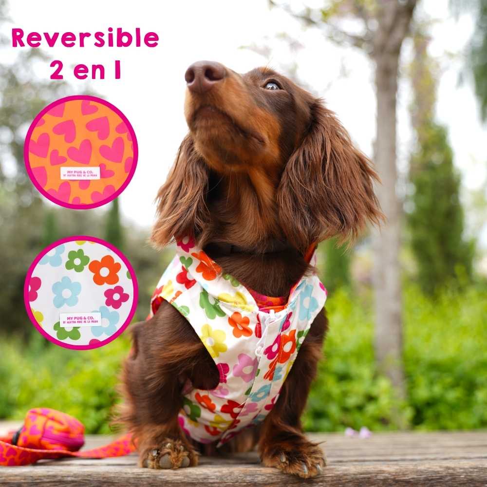 Hearts and Flowers Raincoat by Agatha Ruiz de la Prada
