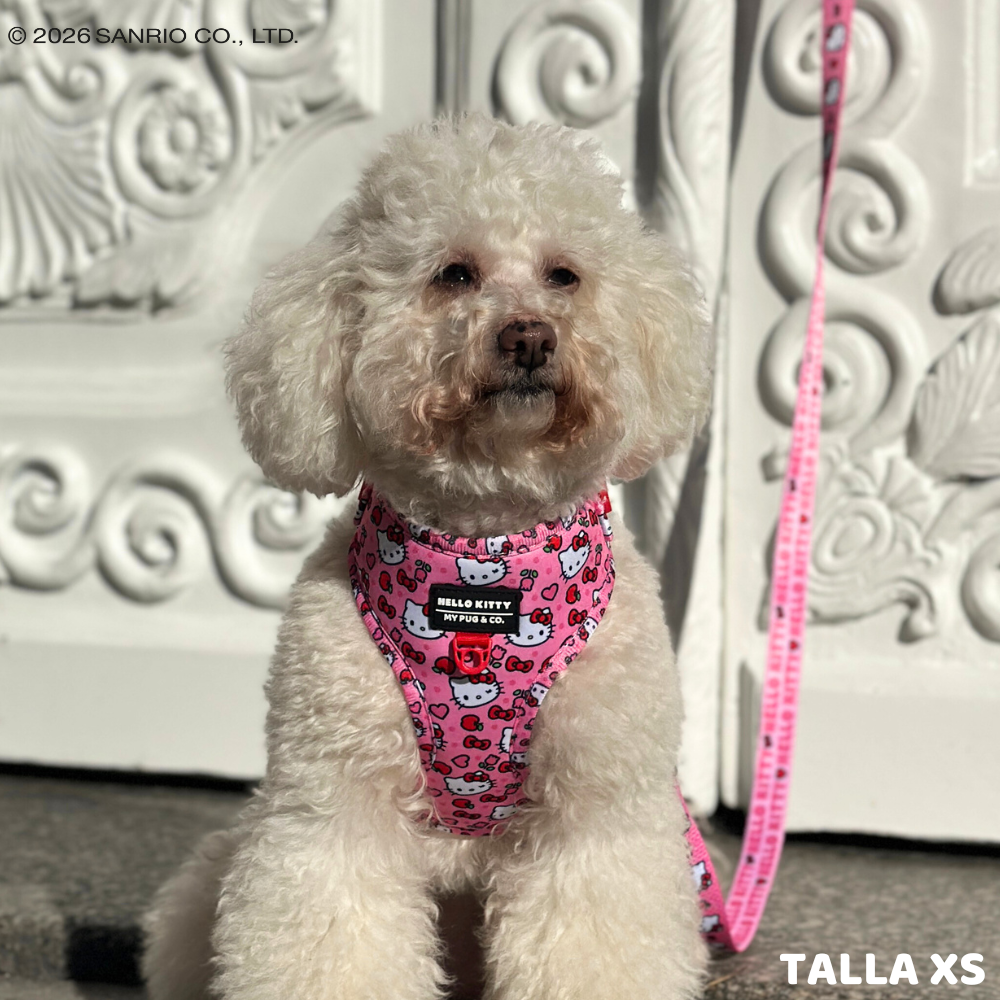 Verstellbares Hundegeschirr Hello Kitty (Rosa)