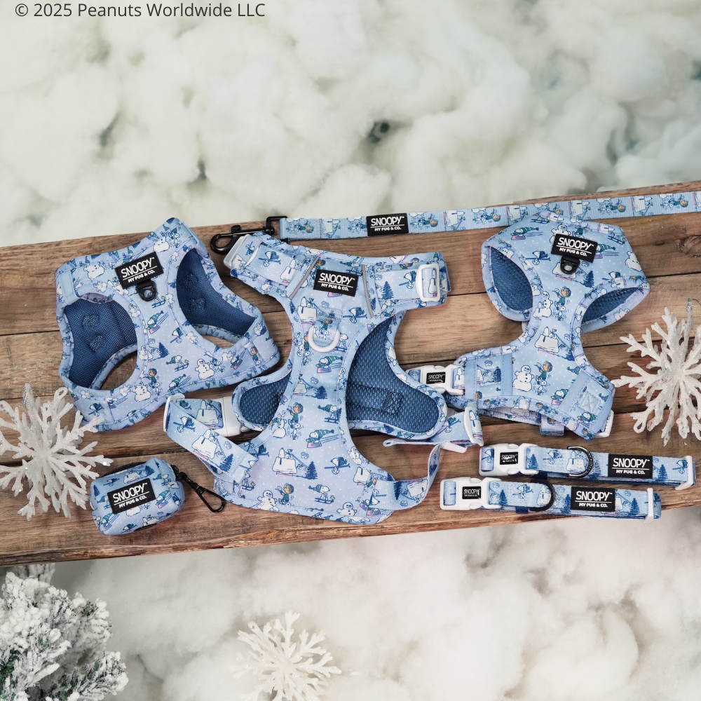 Manta Snoopy™️ Snow