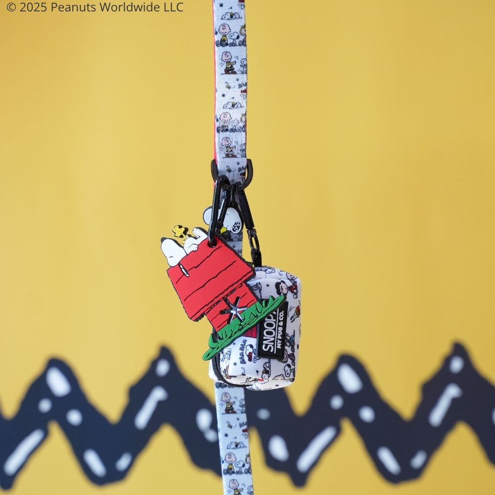 Colgador de Bolsas Snoopy™️