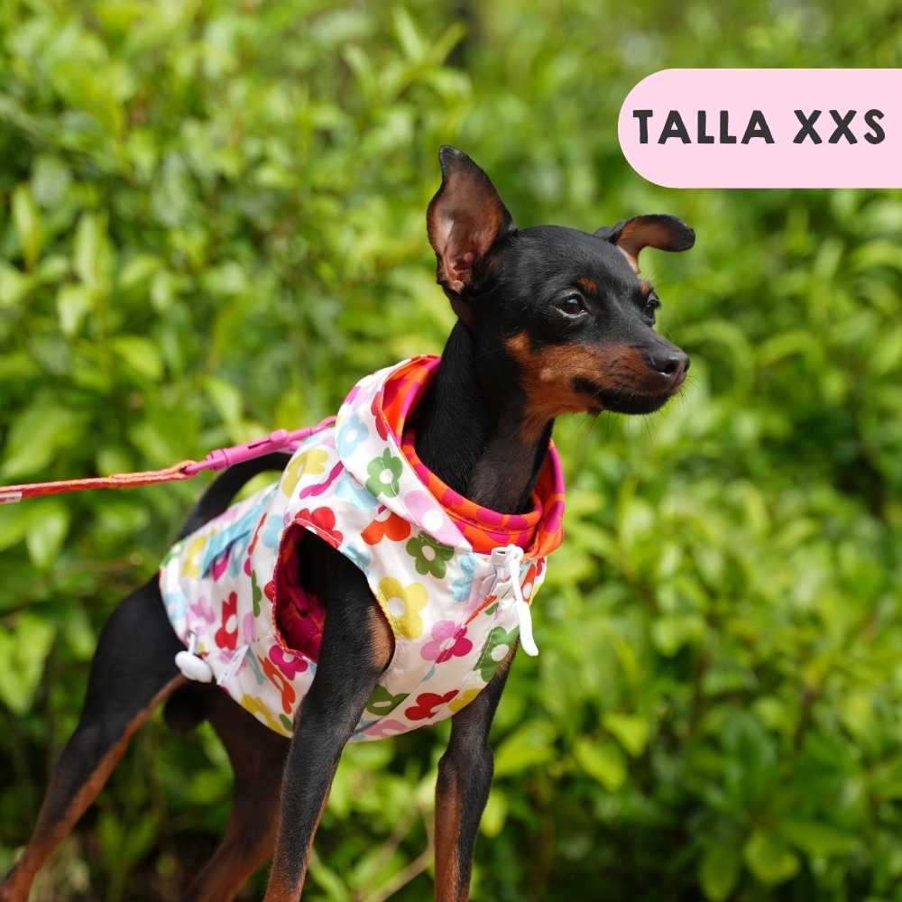 Hearts and Flowers Raincoat by Agatha Ruiz de la Prada