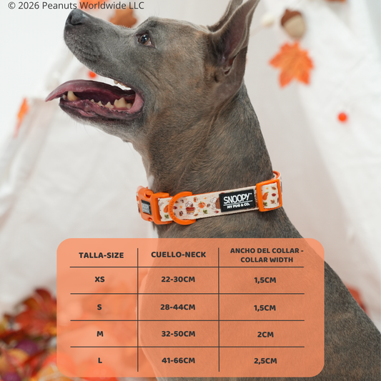 Collar Snoopy™️ Autumn