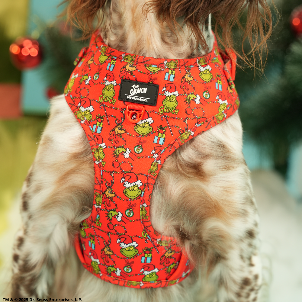 The Grinch Adjustable Harness Red