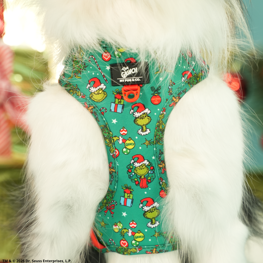 The Grinch Adjustable Harness Green