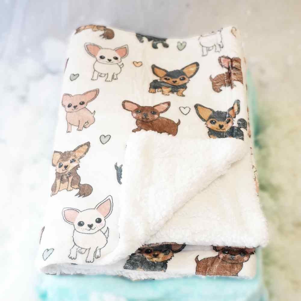 Aliens Exist Blanket