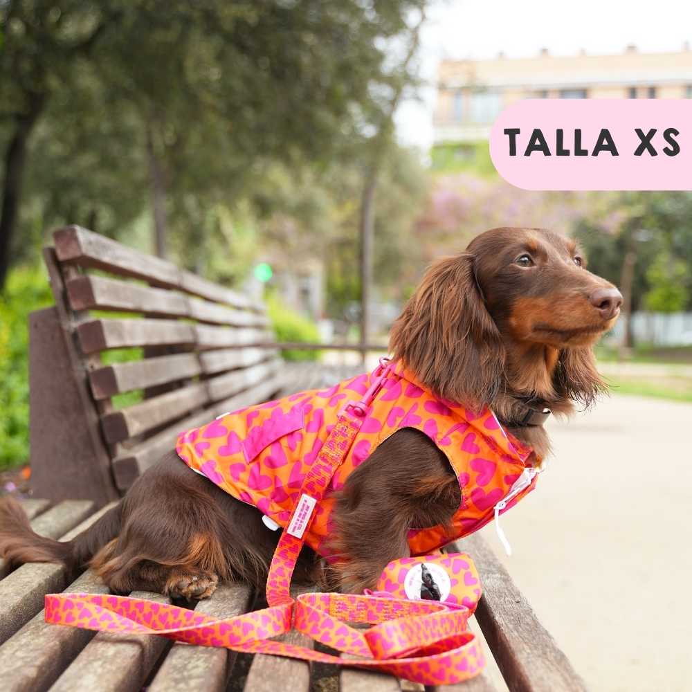 Hearts and Flowers Raincoat by Agatha Ruiz de la Prada