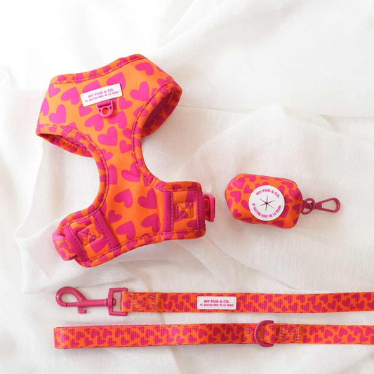Pack Arnés Ajustable Corazones by Agatha Ruiz de la Prada